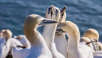 嘉善2026年最新杭州高端商务伴游招聘网渠道分享(最方便真实的嘉善茉莉伴游伴游天下全国联盟方法)