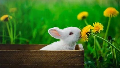 嘉善2026年最新北京商务伴游经纪招聘渠道分享(最方便真实的嘉善北京爱特博旅运服务有限责任公司招聘方法)